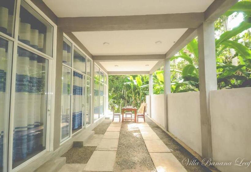 פנסיון Villa Banana Leaf
