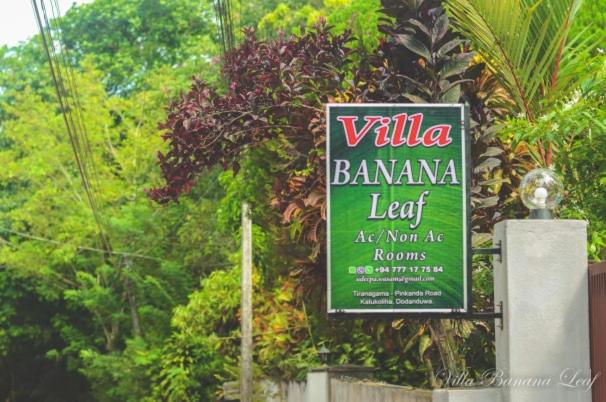 פנסיון Villa Banana Leaf