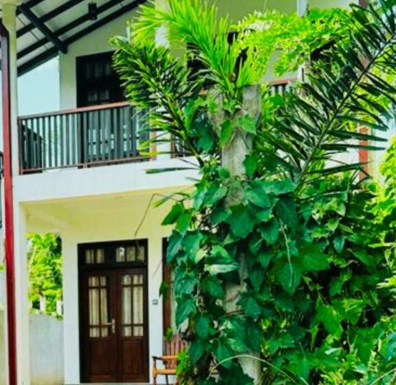 צימר Amour At Turtle Beach