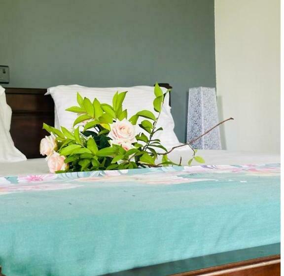 צימר Amour At Turtle Beach