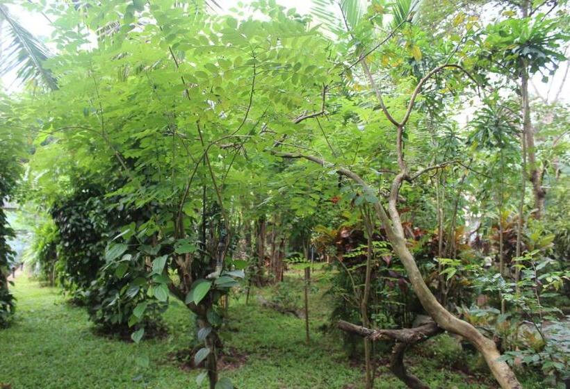 Bed and Breakfast Elephant Village With Free Safari Tour