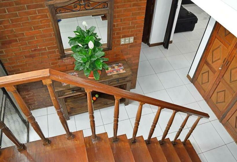 تختخواب و صبحانه Oh Espana!