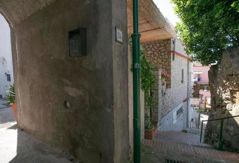 پانسیون Casa Pamela