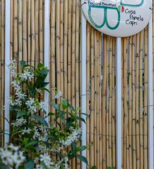 پانسیون Casa Pamela