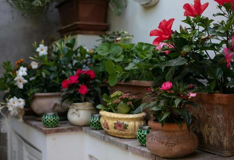 پانسیون Casa Pamela