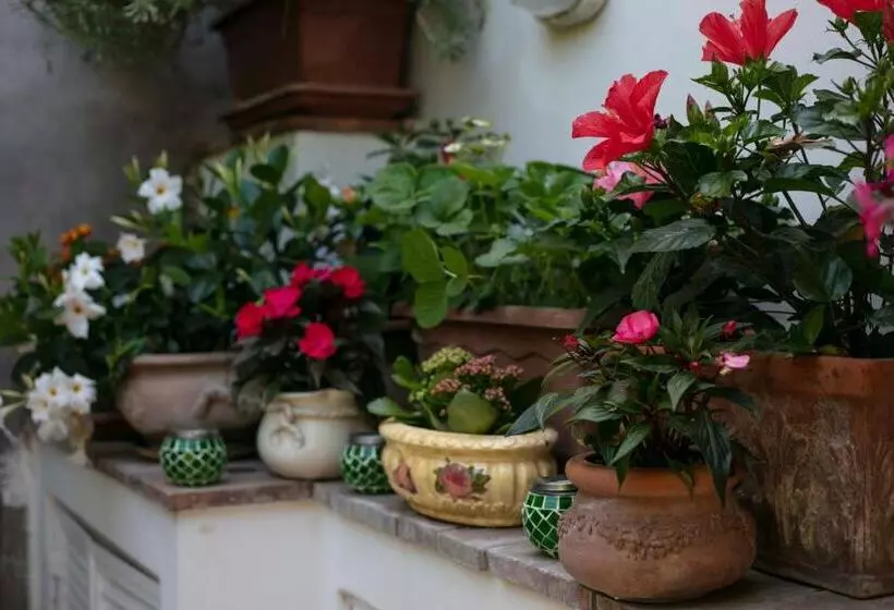 پانسیون Casa Pamela