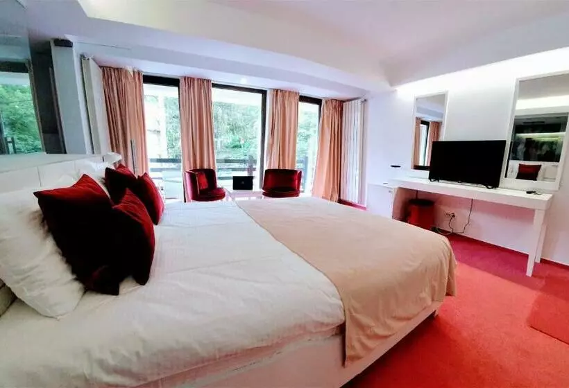 پانسیون Casa Varful Cu Dor