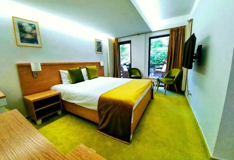 پانسیون Casa Varful Cu Dor