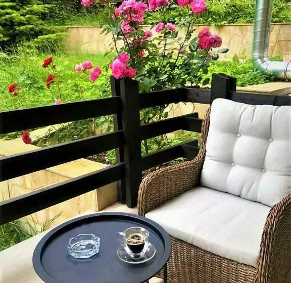 پانسیون Casa Varful Cu Dor