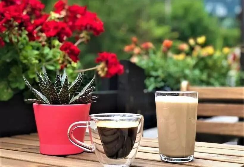 پانسیون Casa Varful Cu Dor