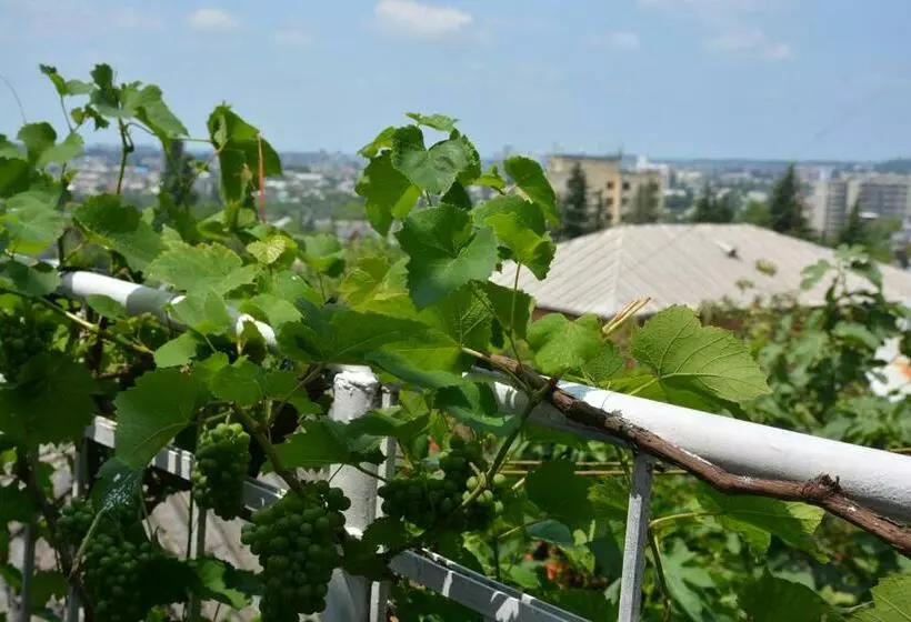 پانسیون Friends House