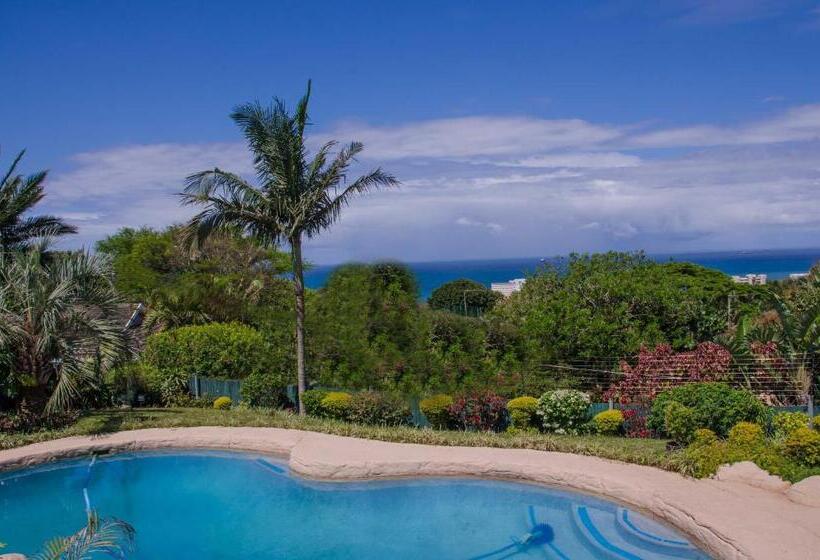 Addis Bed And Breakfast