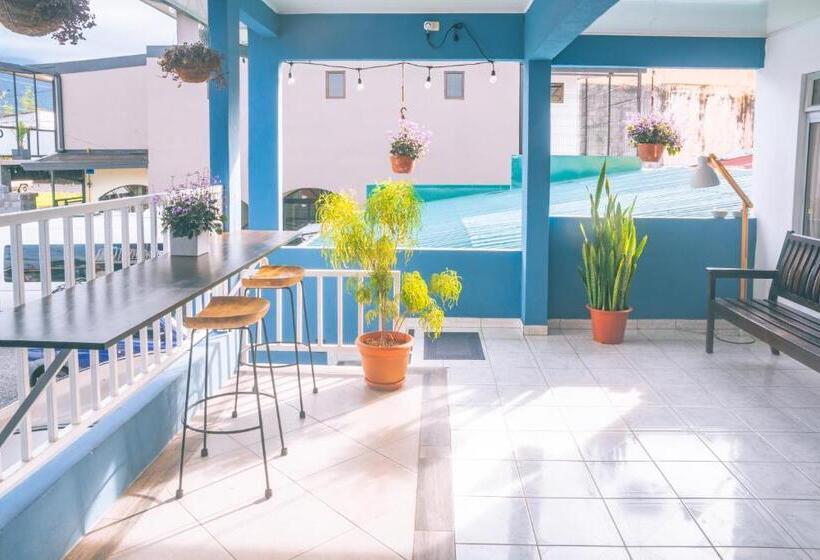 تختخواب و صبحانه Alicia