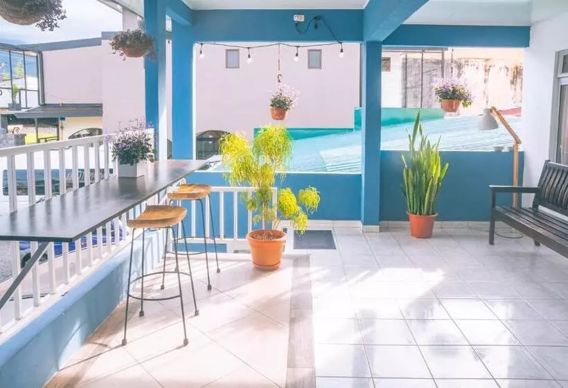 تختخواب و صبحانه Alicia