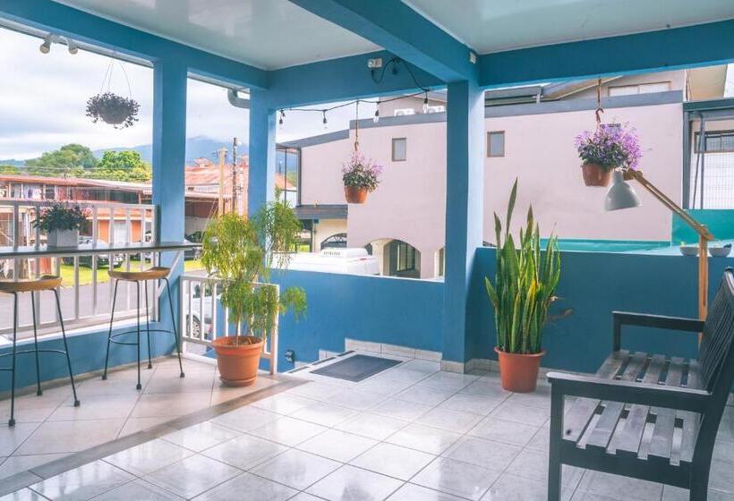 تختخواب و صبحانه Alicia