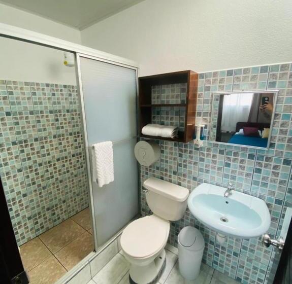 تختخواب و صبحانه Alicia