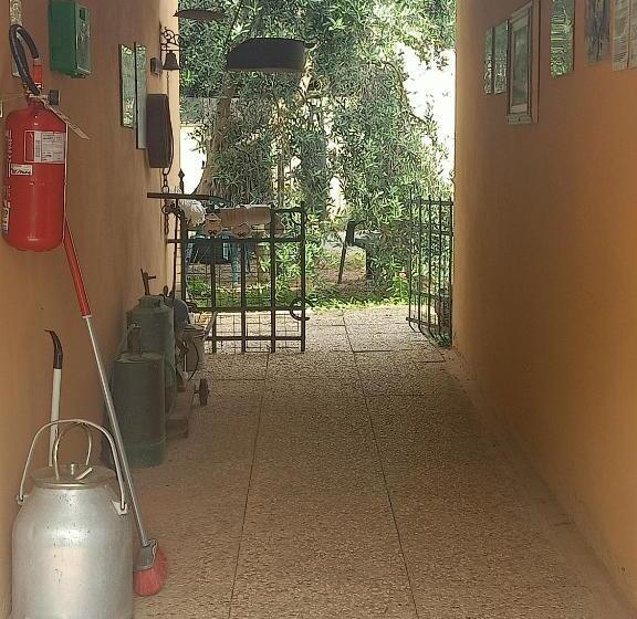 Отель Agriturismo Il Cipresso