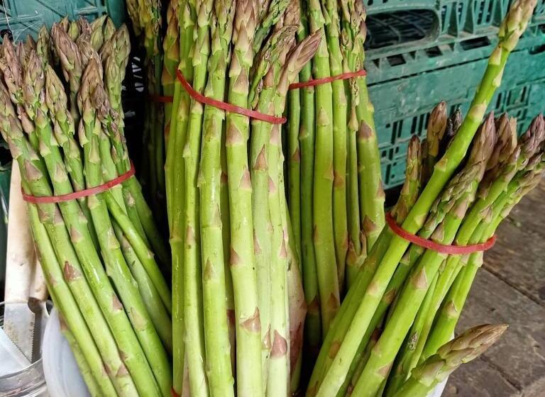 Отель Agriturismo Il Cipresso