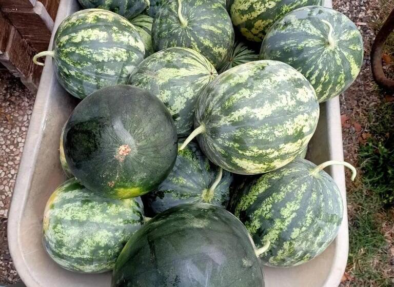 Отель Agriturismo Il Cipresso