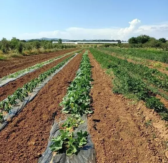 ホテル Agriturismo Il Cipresso