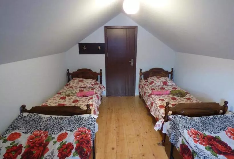 پانسیون Anano Guest House