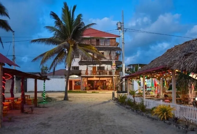 ペンション Cocoa Inn Hostal