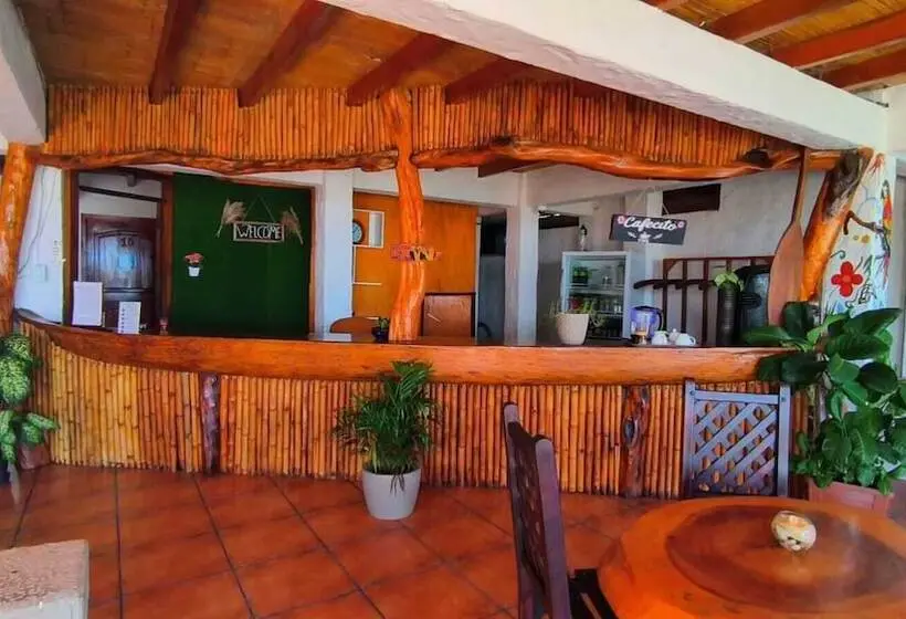 ペンション Cocoa Inn Hostal