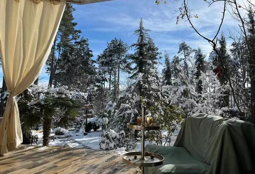 پانسیون Neli & Zaal Guest House
