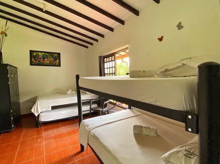 Pension Paraiso Cocora