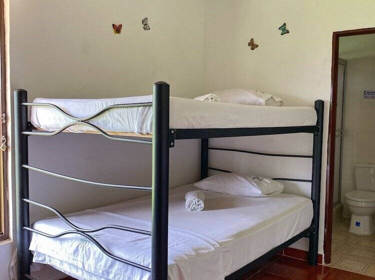 Pension Paraiso Cocora