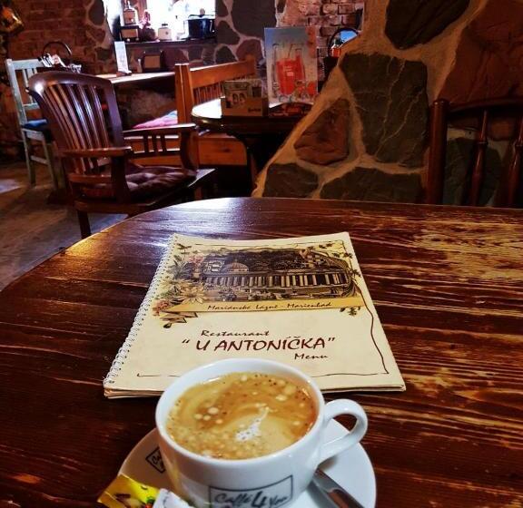 بنسيون Penzion U Antonickova Pramene