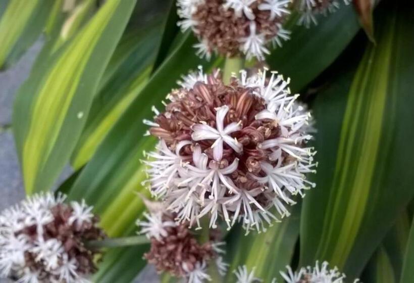 膳宿费 Pousada Doce Mel