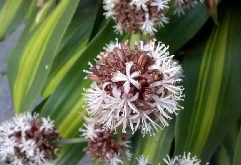 Majatalo Pousada Doce Mel