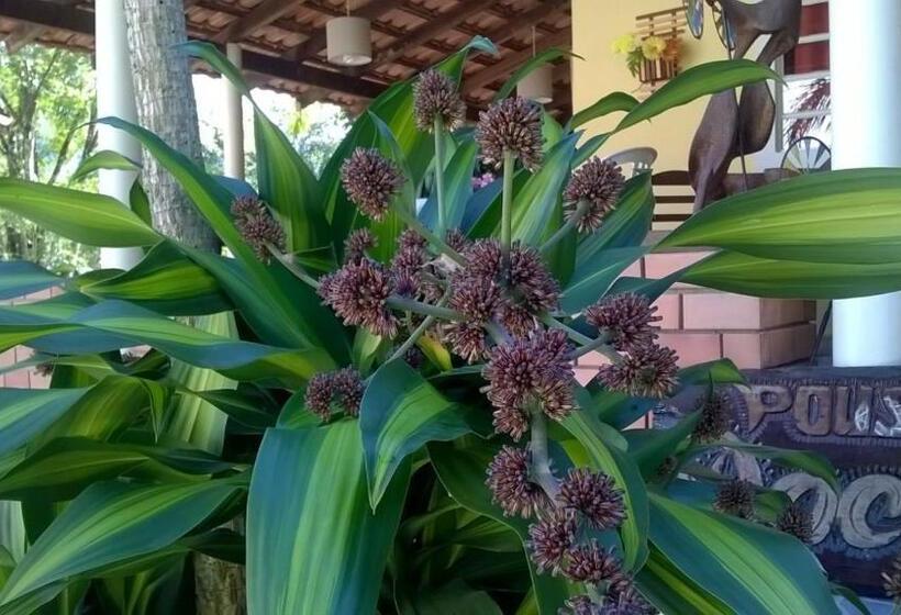 膳宿费 Pousada Doce Mel