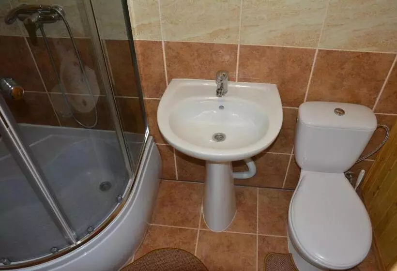 پانسیون Sadyba Karpatiya
