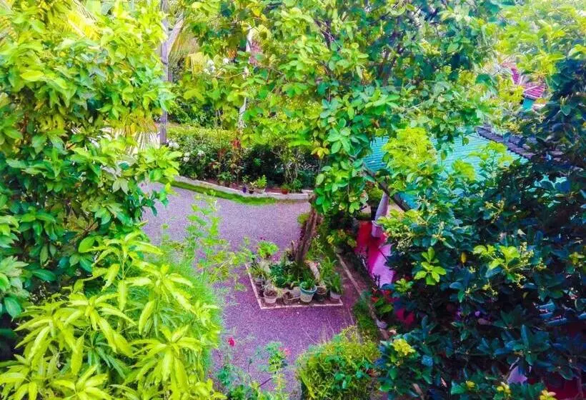 پانسیون The Bay House
