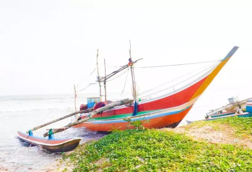 پانسیون The Bay House
