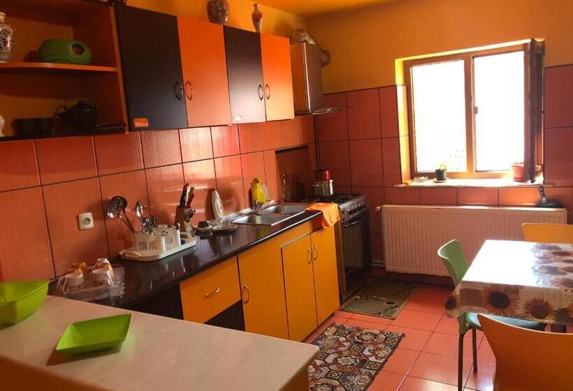 פנסיון Vila Khalo