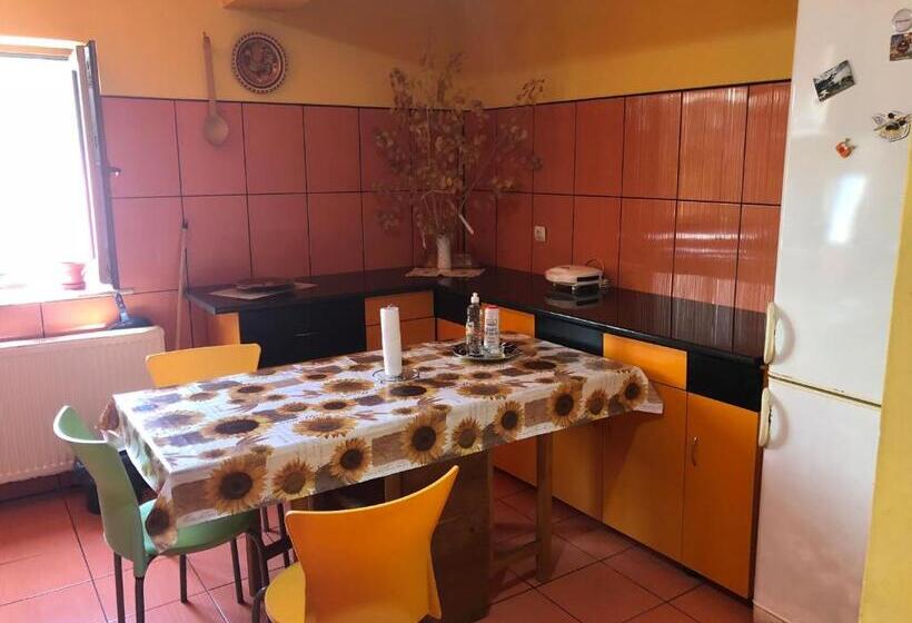 פנסיון Vila Khalo