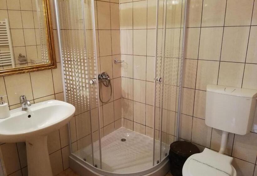 Pensiunea Casa Sighisoreana