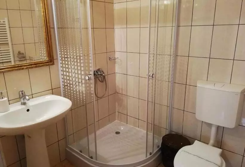 Pensiunea Casa Sighisoreana