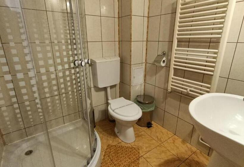 Pensiunea Casa Sighisoreana