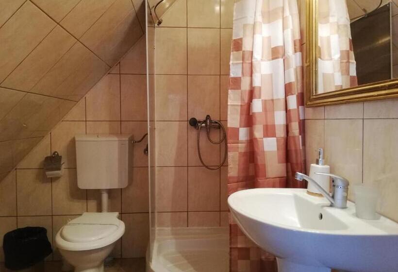 Pensiunea Casa Sighisoreana