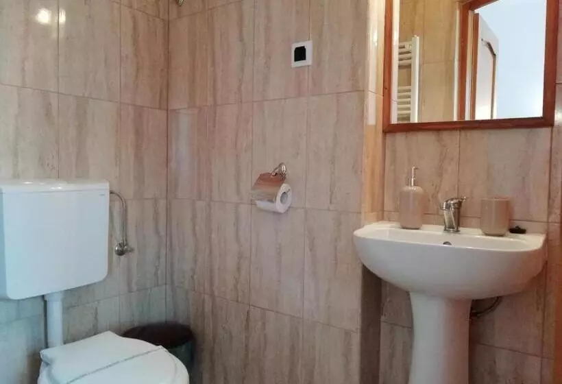 Pensiunea Casa Sighisoreana