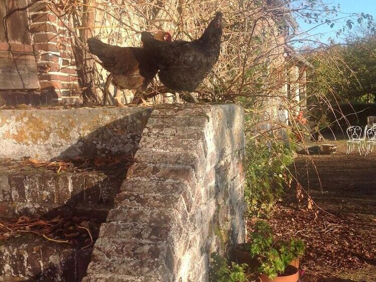 ペンション Rouge Maison