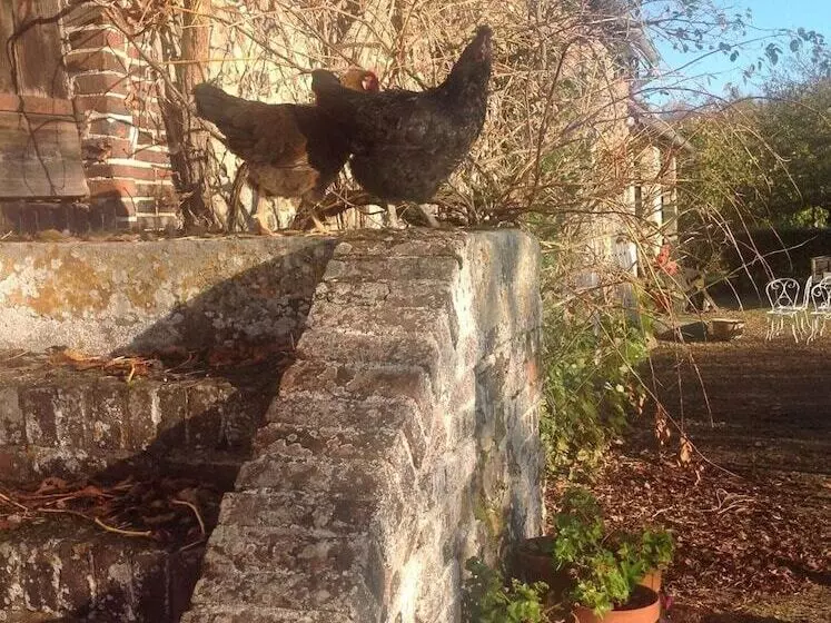 Majatalo Rouge Maison