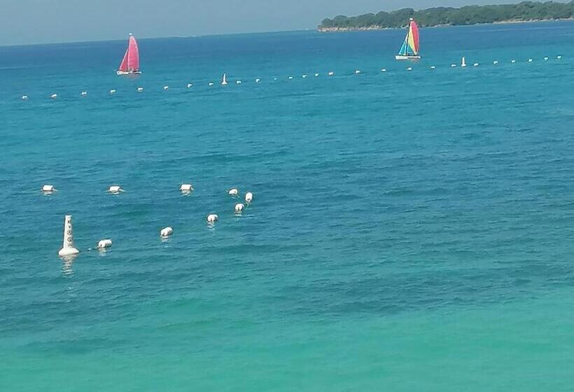 هاستل Posada Chikiluky Bar