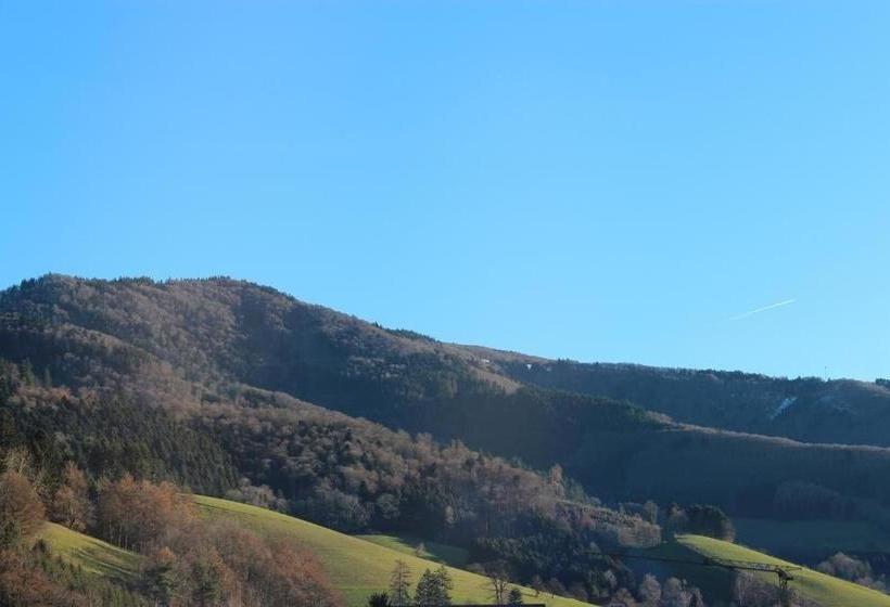 호텔 Gasthaus Zur Linde