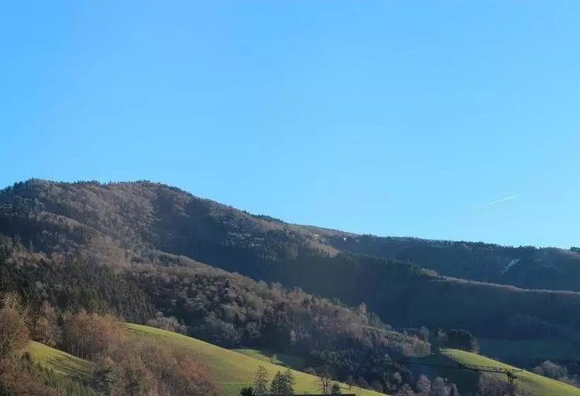 Hotelli Gasthaus Zur Linde