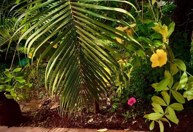 پانسیون Stan Inn, North Goa, Vagator, With Strong Wifi,free Private Parking & Kitchen, Can Cook Where You St